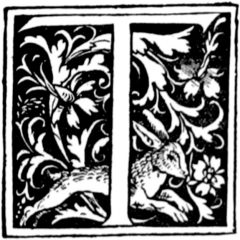 Tristan Best – Viola da Gamba